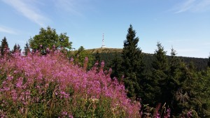 20150829_101101