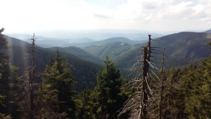 20150829_143407