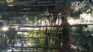 20150830_155335